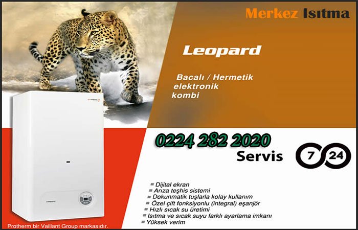Leopard Kombi Servisi